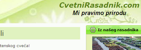 Rasadnik