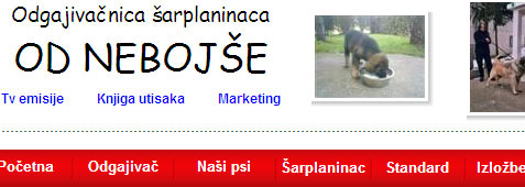 Odgajivacnica sarplaninaca ”od Nebojse”